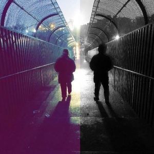 Meet your Posher, Matthew